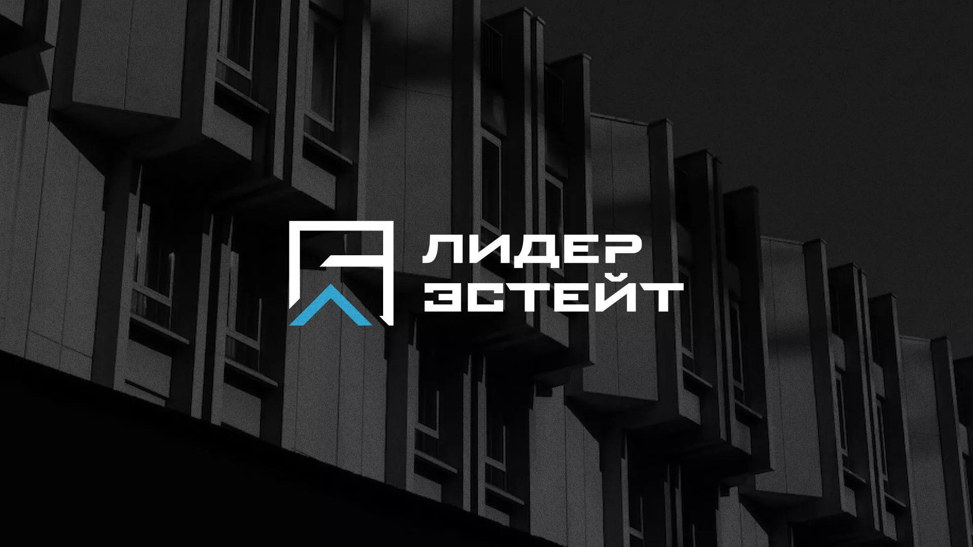 Разработка логотипа агентства недвижимости «Лидер Эстейт» в Лениногорске